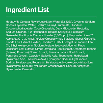 Heartleaf Quercetinol Pore Deep Cleansing Foam