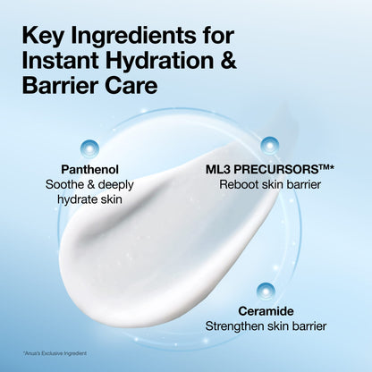 Anua Barrier Reboot Daily Moisturizer key ingredients